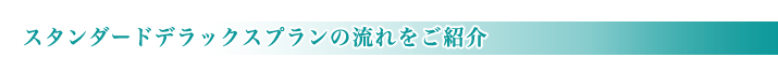 一般葬儀スタンダードデラックスプランの流れ